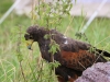 IMG_2861_zps1srcj7cy.jpg