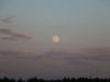 IMG_3339_zpszrlivrlg.jpg