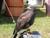 IMG_3489_zpstzhbhun4.jpg