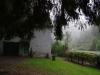 IMGP4598_zpsfcdf8b76